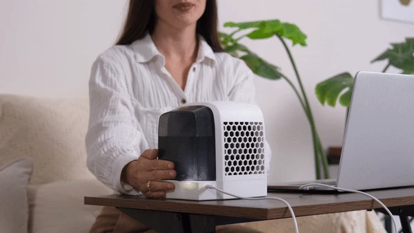 Polar Cooling Portable AC